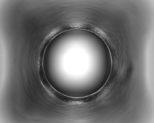 X0000085760586200703161120