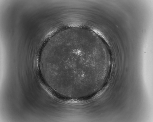 X0000085760589200703161120