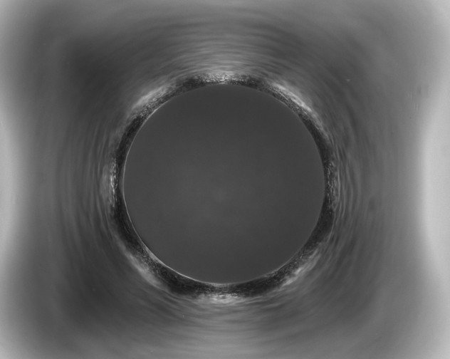X0000085760590200703161120