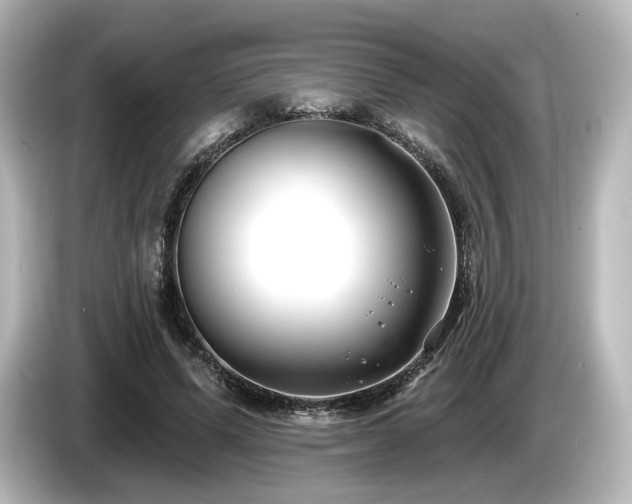 X0000085760591200703161119