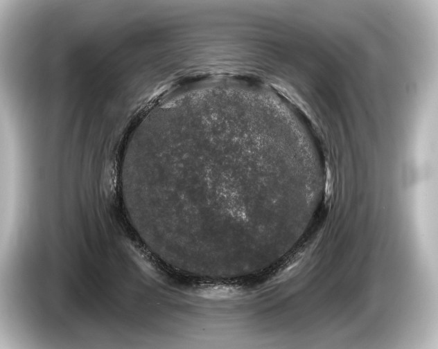 X0000085760593200703161119