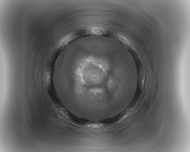 X0000085760595200703161119