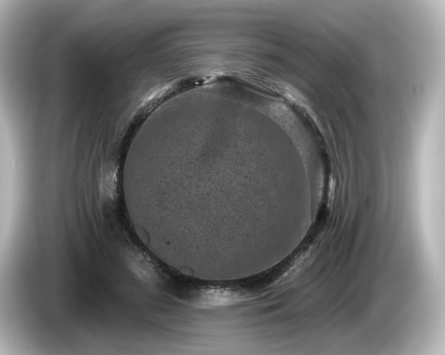 X0000085760596200703161119