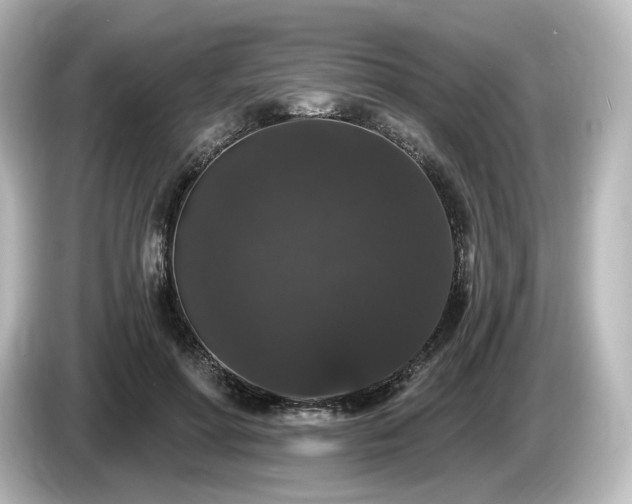 X0000085760598200703161119
