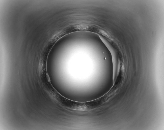 X0000085760600200703161119