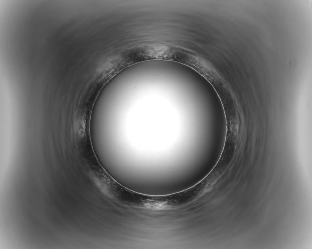 X0000085760602200703161119