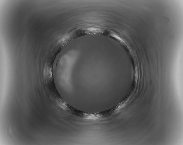 X0000085760621200703161119