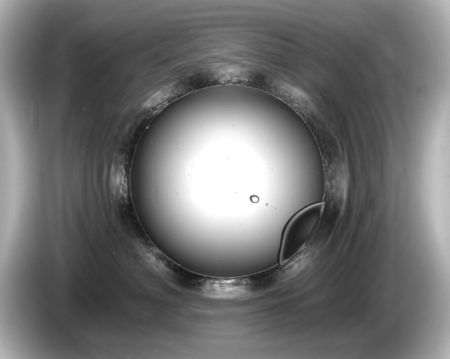 X0000085760622200703161119