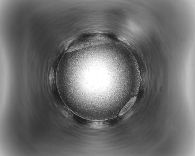 X0000085760623200703161119