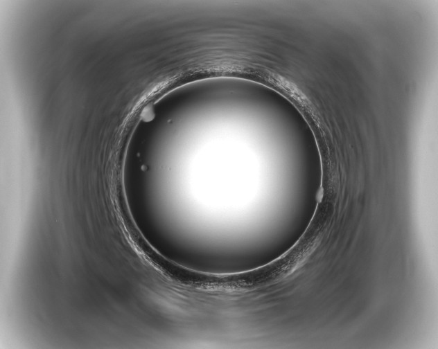 X0000085760625200703161118