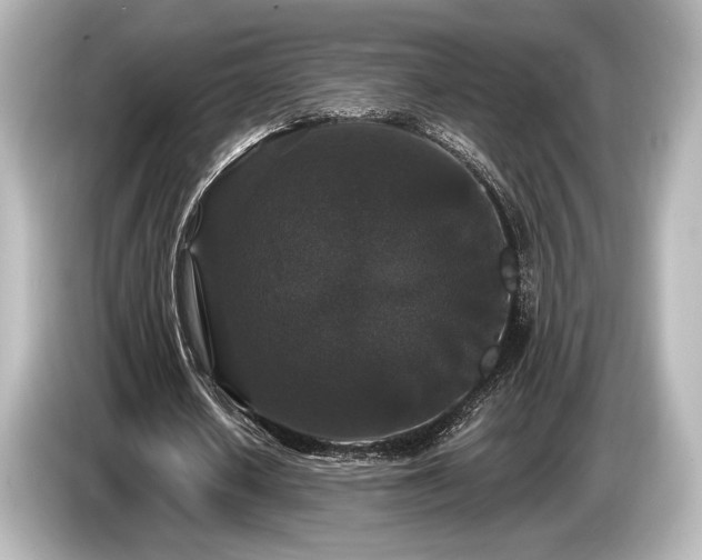 X0000085760626200703161118