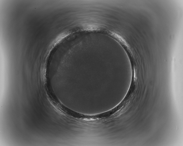 X0000085760627200703161118