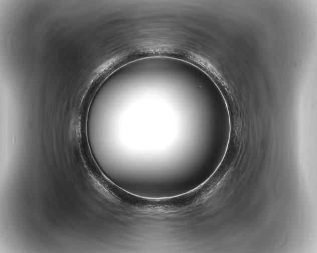 X0000085760629200703161118