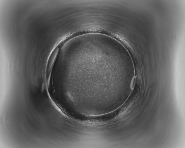 X0000085760630200703161118