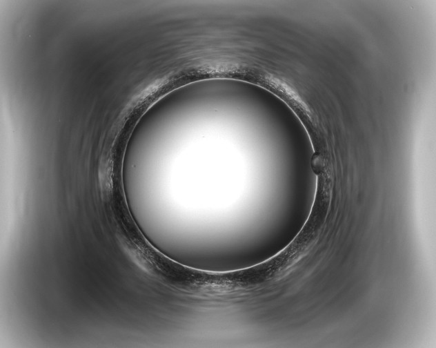 X0000085760631200703161118