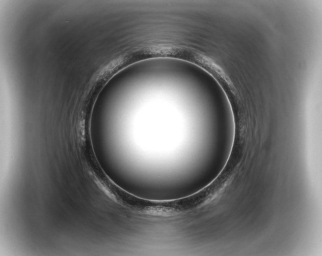 X0000085760633200703161118
