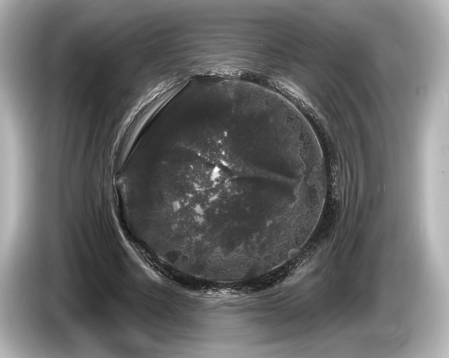 X0000085760634200703161118