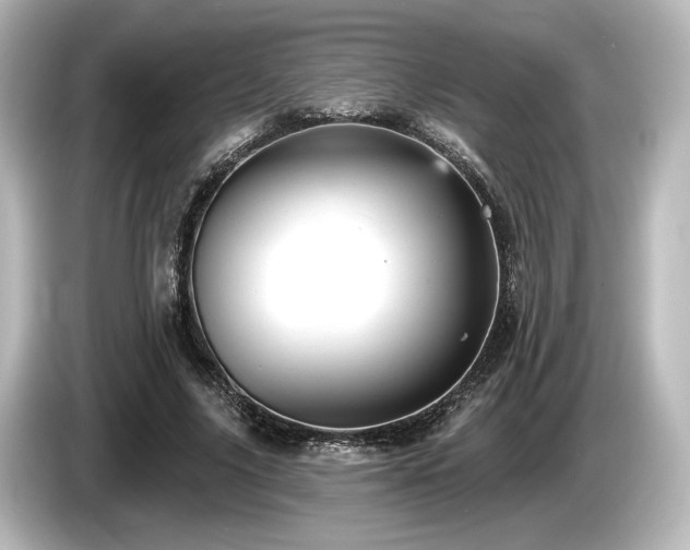 X0000085760635200703161119