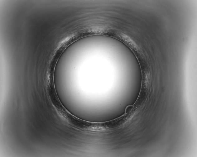 X0000085760636200703161119