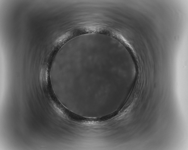 X0000085760637200703161119