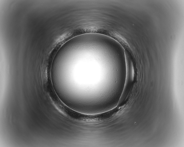 X0000085760638200703161119