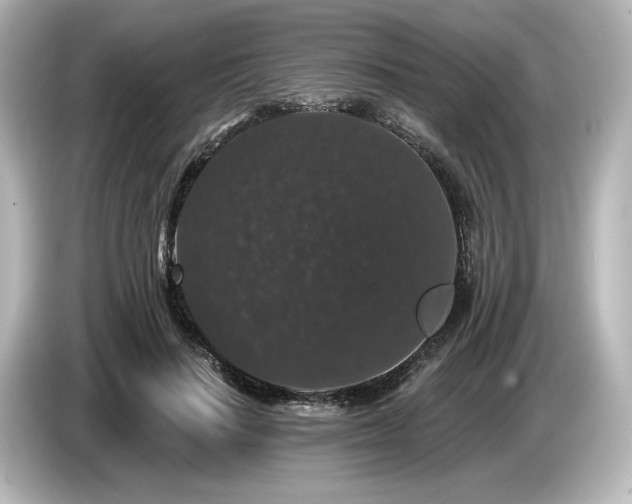 X0000085760644200703161119