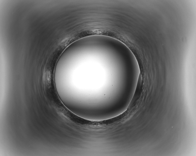 X0000085760646200703161119