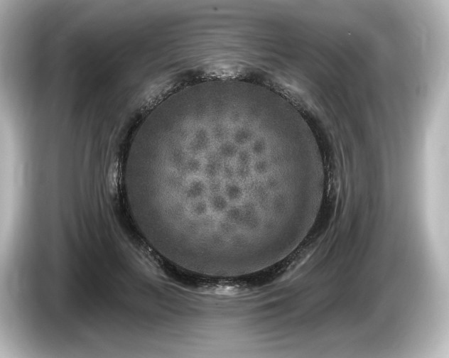 X0000085760647200703161119