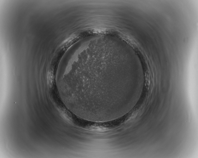 X0000085760648200703161119