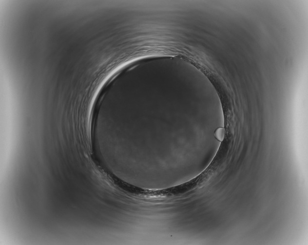 X0000085760650200703161119