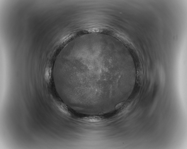 X0000085760652200703161119