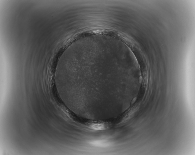 X0000085760653200703161119