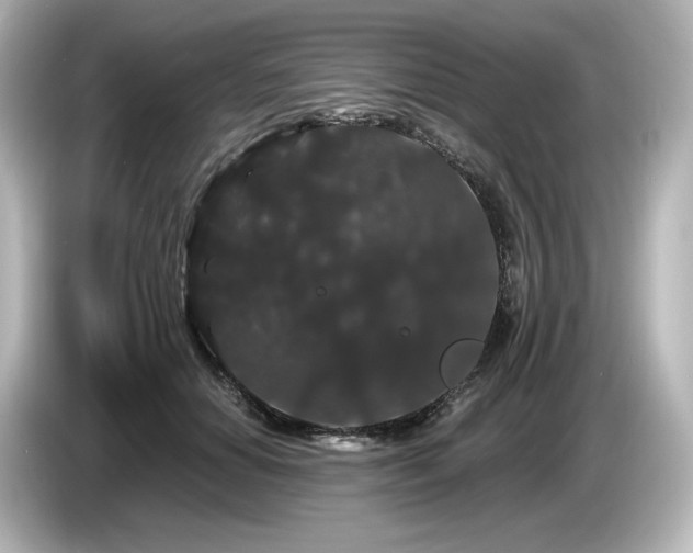 X0000085760654200703161119
