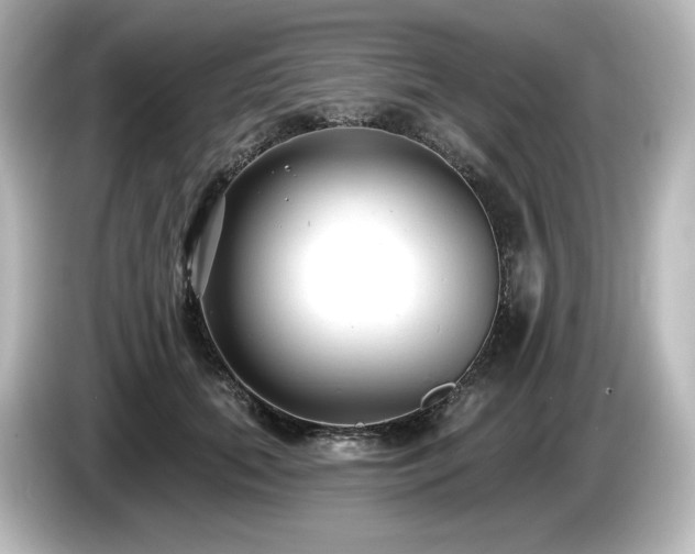 X0000085760655200703161119