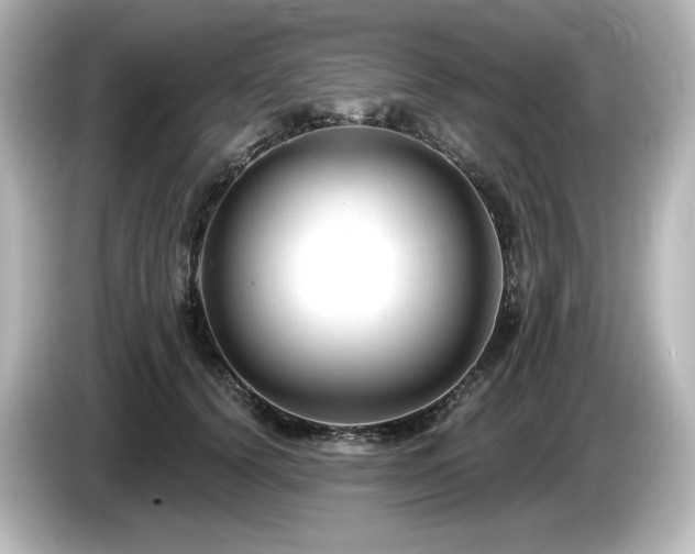 X0000085760656200703161119