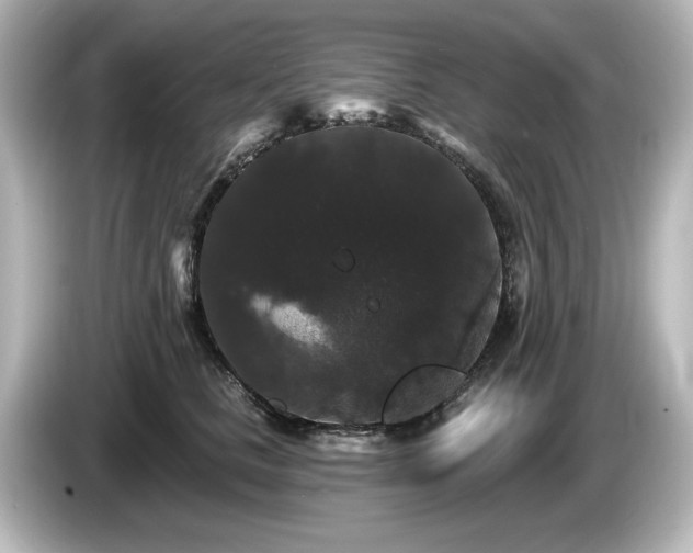 X0000085760661200703161119