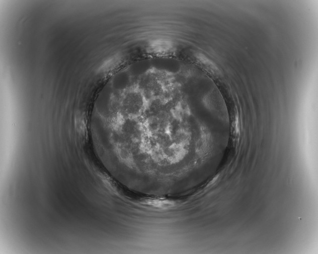 X0000085760662200703161119