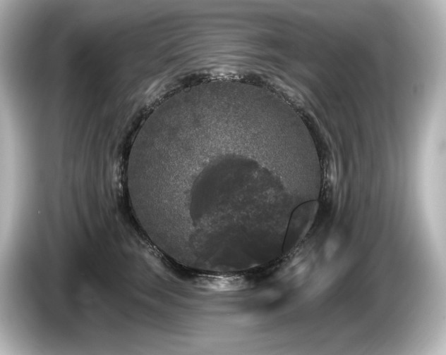 X0000085760663200703161119