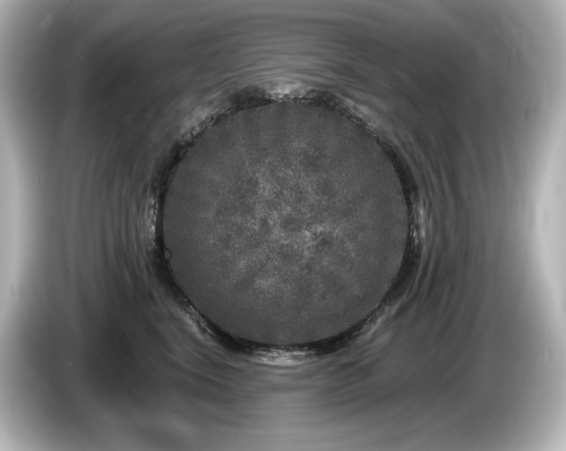 X0000085760664200703161119