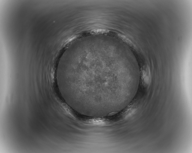 X0000085760668200703161119