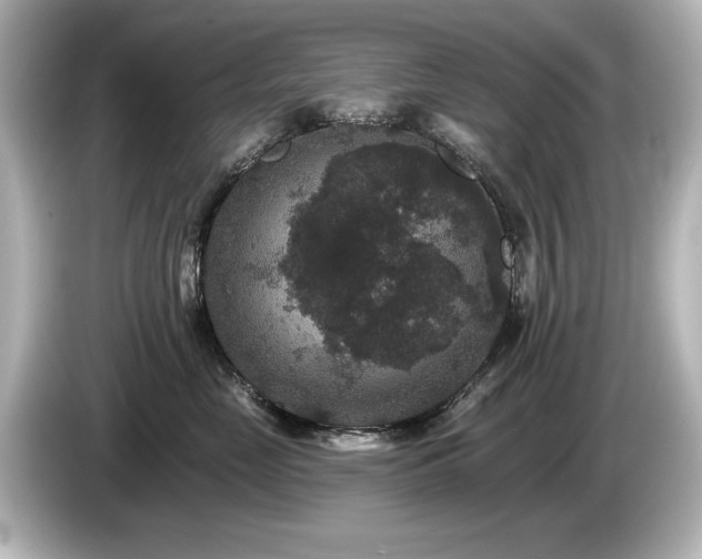 X0000085760669200703161119