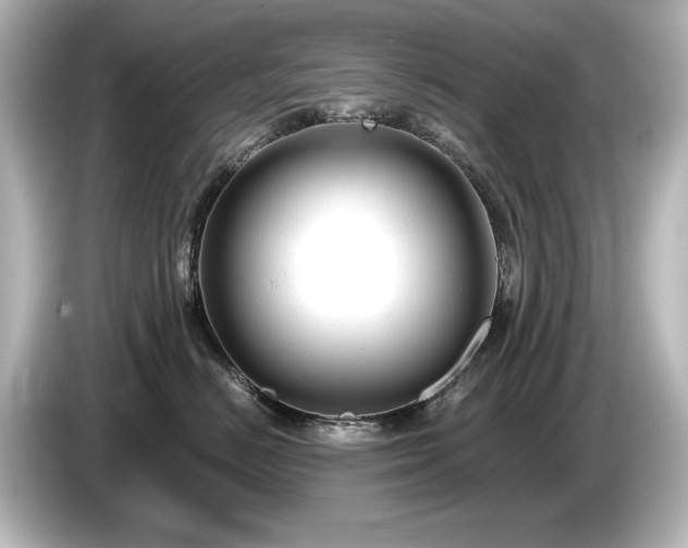 X0000085760670200703161119