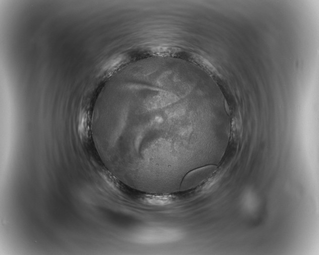 X0000085760671200703161119