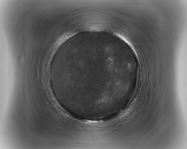 X0000085760673200703161118