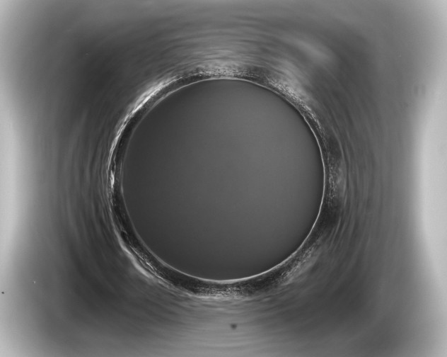 X0000085760674200703161118