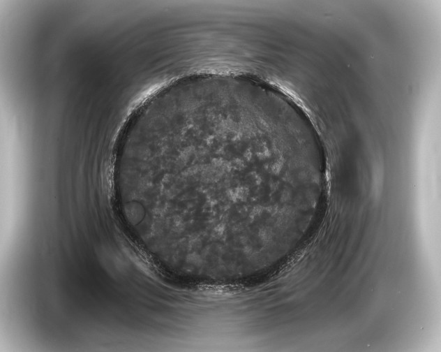 X0000085760679200703161118