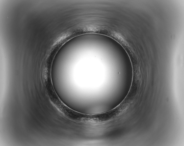 X0000085760683200703161118