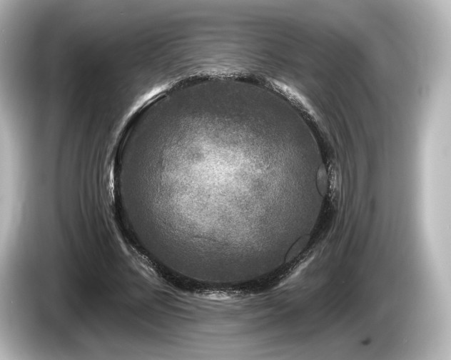 X0000085760684200703161118