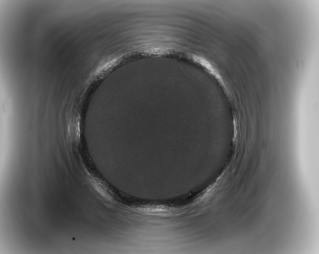 X0000085760685200703161118