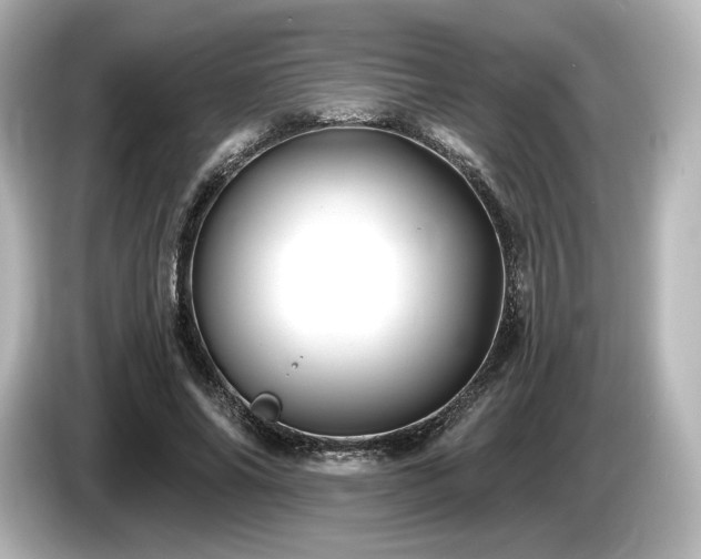 X0000085760686200703161118